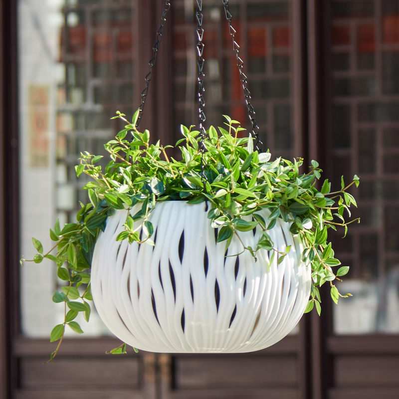 Vaso sospeso, forma personaliz - Spider Plant Hanging recensione e prezzo