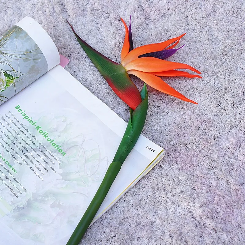 80CM artificiale reale tocco f - Bird Paradise Strelitzia recensione e prezzo