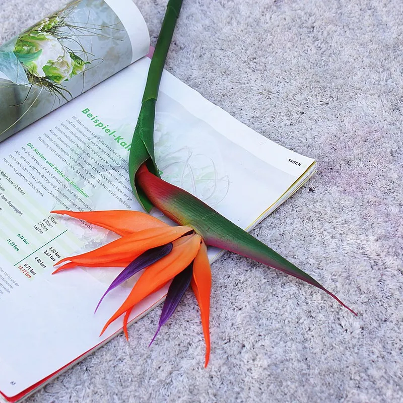 80CM artificiale reale tocco f - Bird Paradise Strelitzia recensione e prezzo