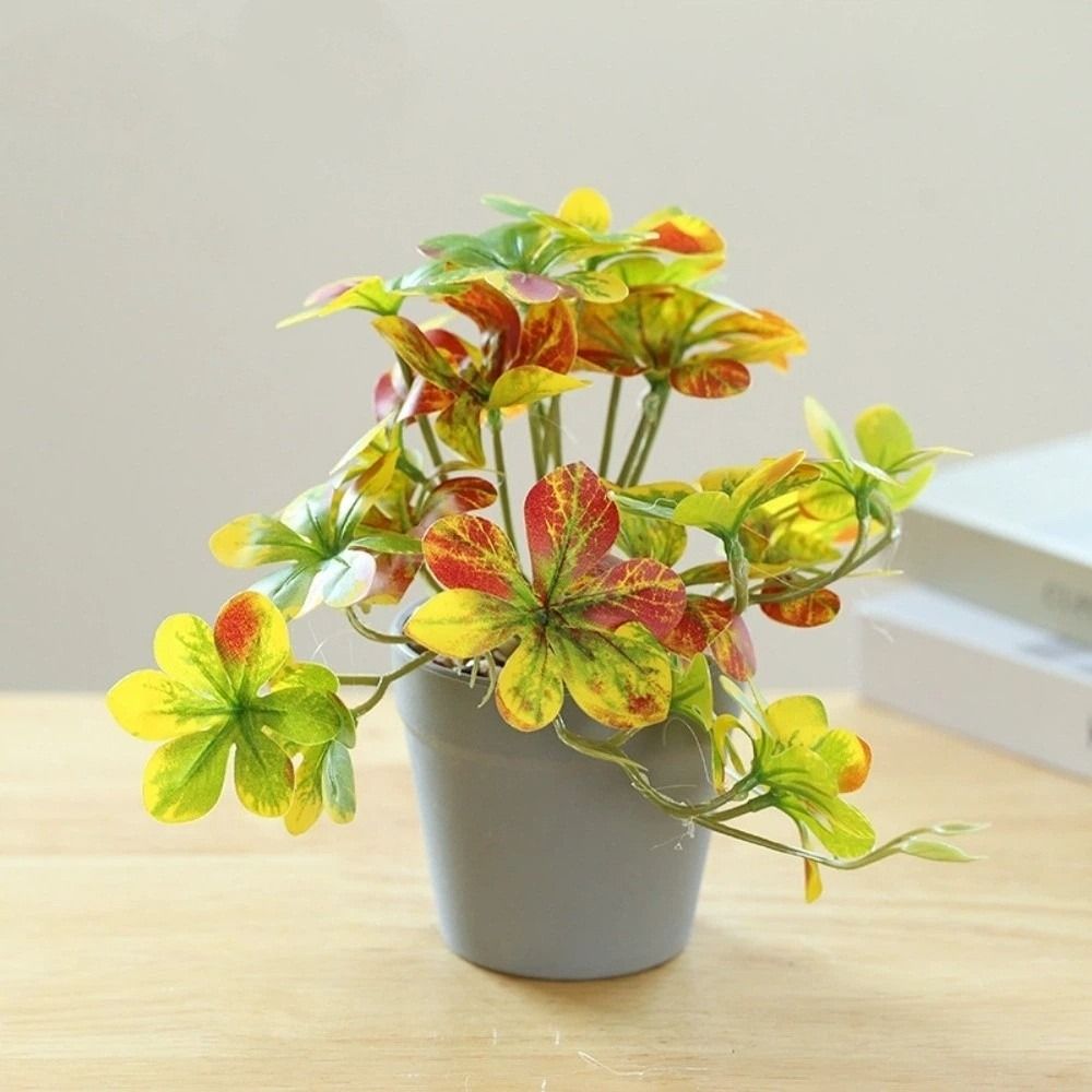 Bonsai Artificiale, Pianta Fin - Spider Plant Hanging recensione e prezzo