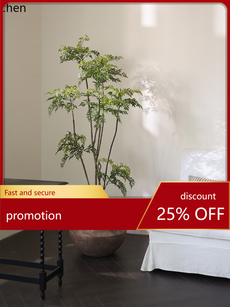 LYY Vaso da terra con pianta v - Ficus Lyrata Tree recensione e prezzo