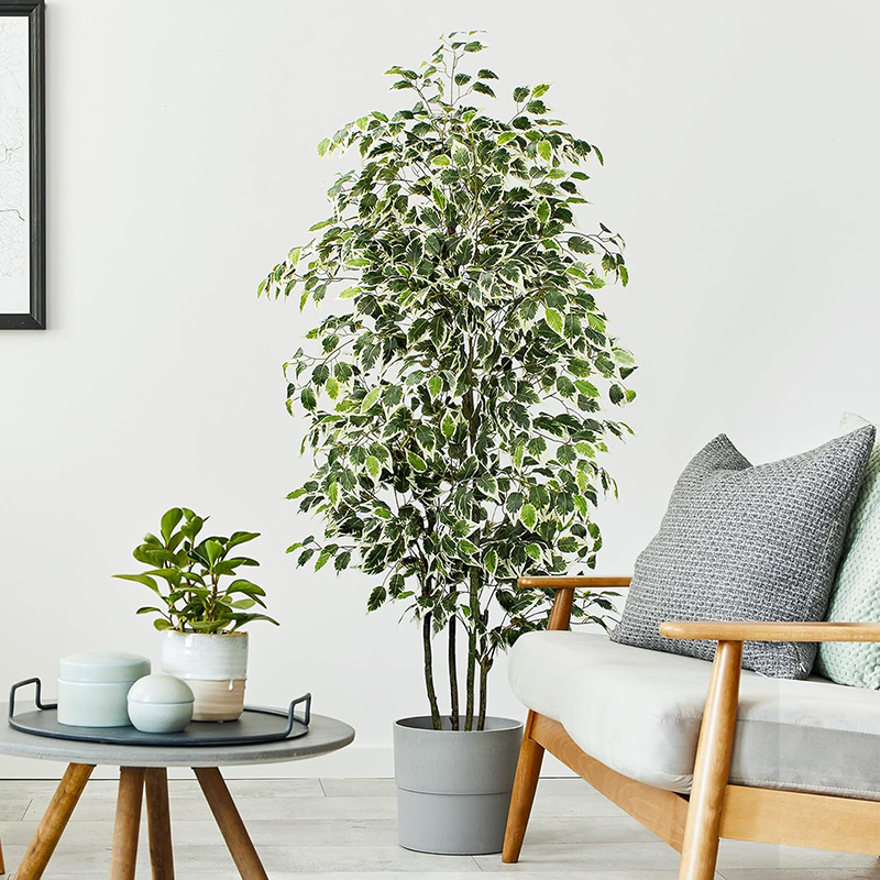 Albero di ficus artificiale da - Ficus Lyrata Tree recensione e prezzo