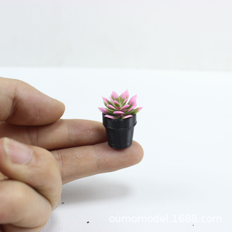 Mini piante simulate Cactus Mo - Echeveria Succulent recensione e prezzo