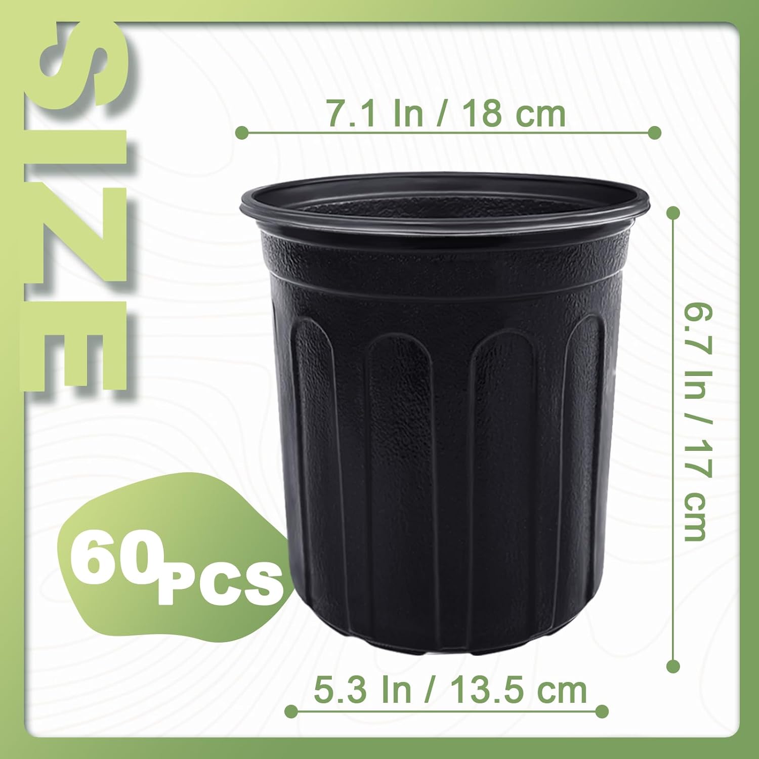 60 Vasi Flessibili da 1 Gallon - Echeveria Succulent recensione e prezzo