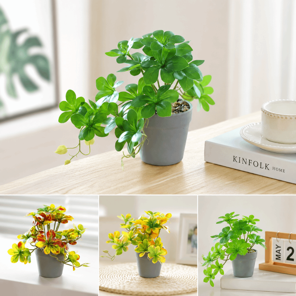 Bonsai Artificiale, Pianta Art - Spider Plant Hanging recensione e prezzo