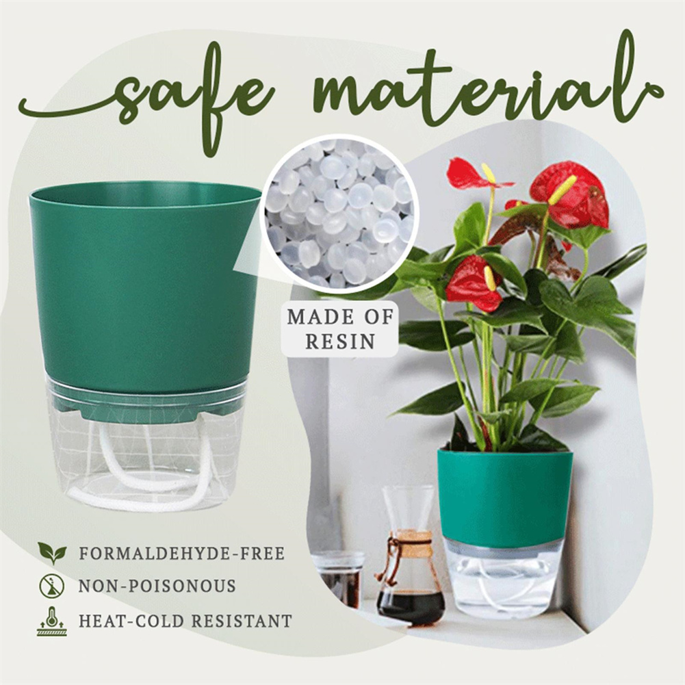 Vaso da fiori idroponico pigro - Aloe Vera Pot recensione e prezzo