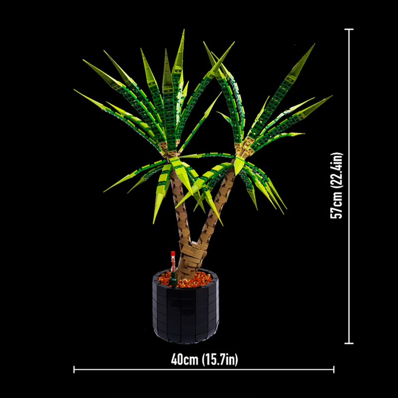 Set di Costruzioni Creative Av - Dracaena Marginata recensione e prezzo
