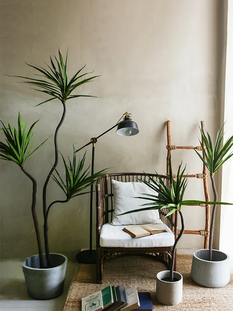 Pianta di simulazione Dracaena - Dracaena Marginata recensione e prezzo