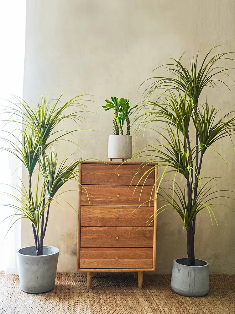 Pianta di simulazione Dracaena - Dracaena Marginata recensione e prezzo