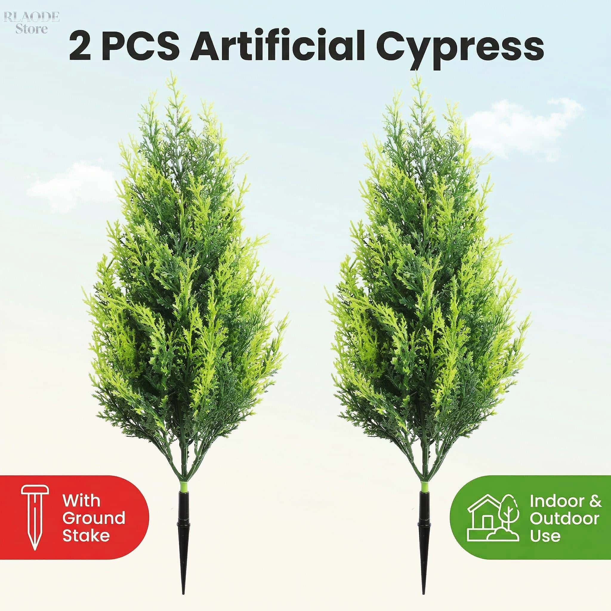 2 Pezzi di Alberi di Cipresso  - Dracaena Marginata recensione e prezzo