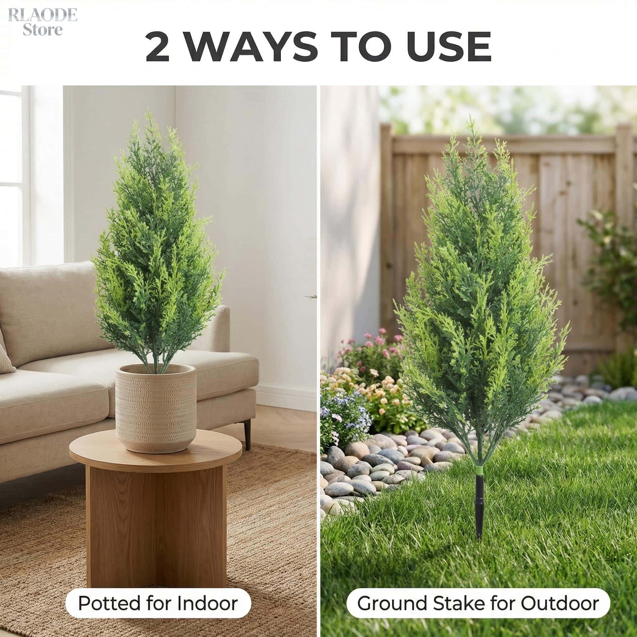 2 Pezzi di Alberi di Cipresso  - Dracaena Marginata recensione e prezzo
