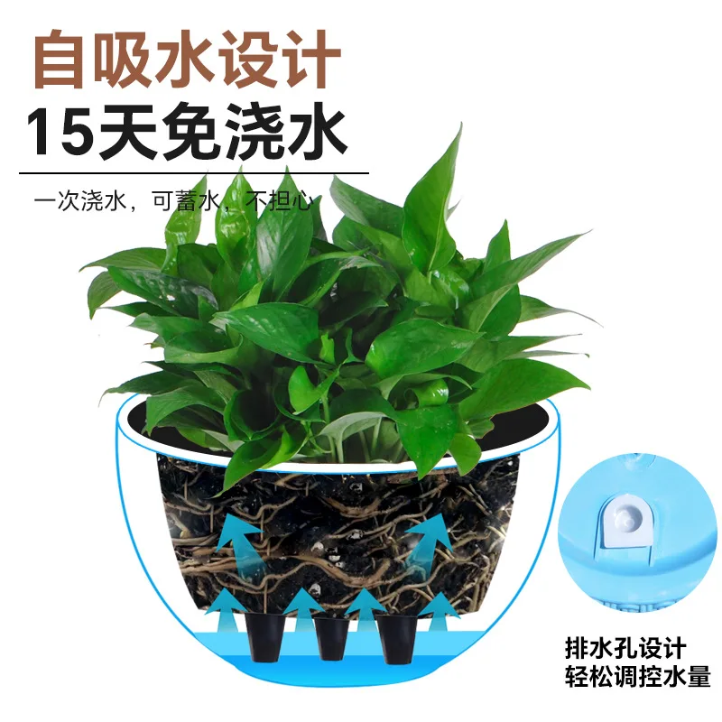 Nuovo vaso sospeso semplice in - Spider Plant Hanging recensione e prezzo
