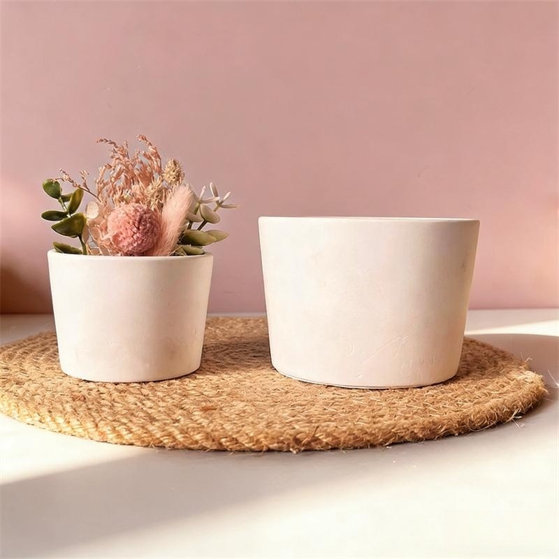 Stampo in silicone per vaso ro - Echeveria Succulent recensione e prezzo