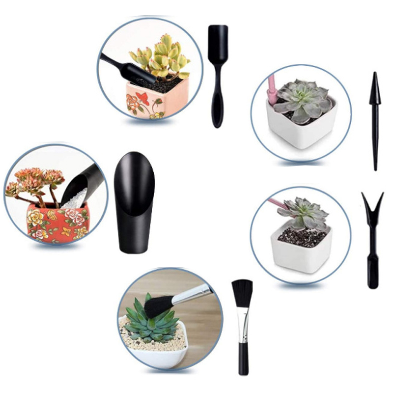 Mini set di attrezzi da giardi - Echeveria Succulent recensione e prezzo
