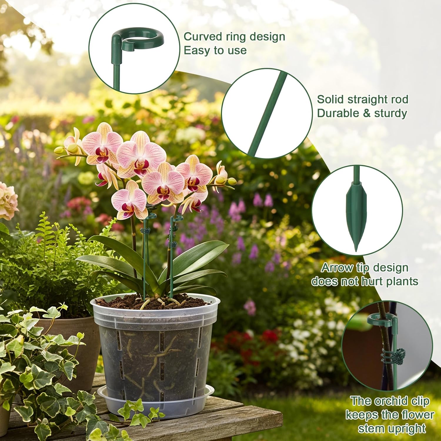 5/10 Pezzi Supporti per Piante - Echeveria Succulent recensione e prezzo