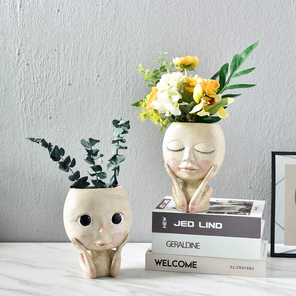 Fioriera per fiori con testa p - Echeveria Succulent recensione e prezzo