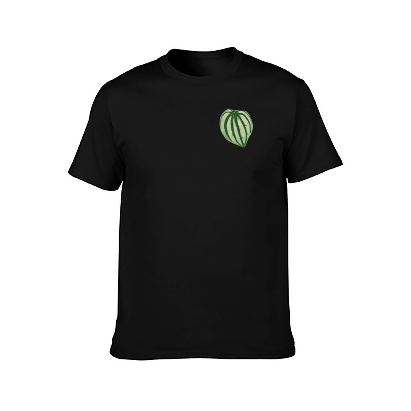 T-shirt Watermelon Peperomia,  - Peperomia Watermelon recensione e prezzo