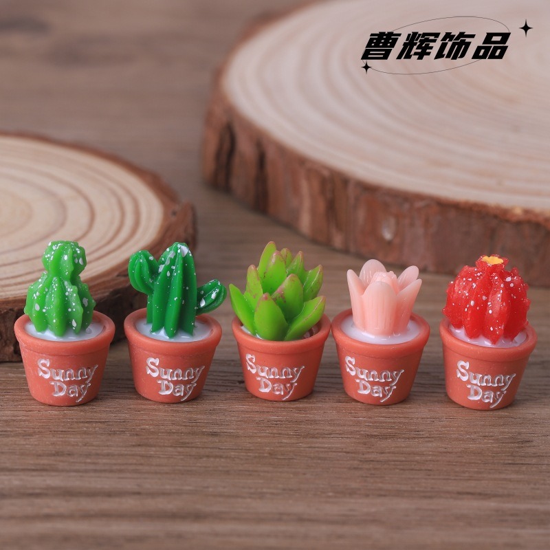 5 pezzi di simulazione succule - Echeveria Succulent recensione e prezzo