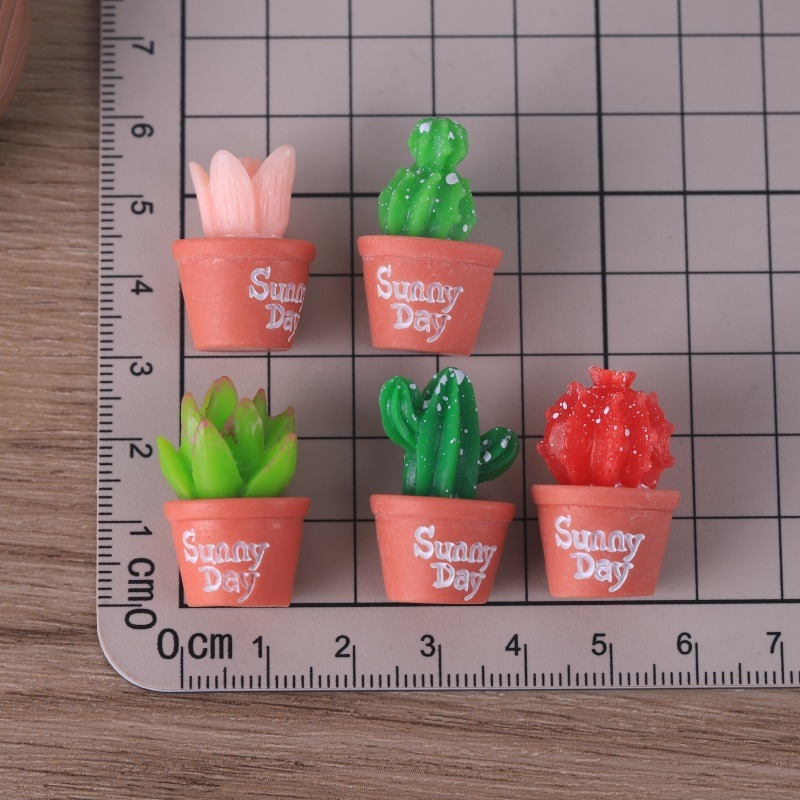 5 pezzi di simulazione succule - Echeveria Succulent recensione e prezzo